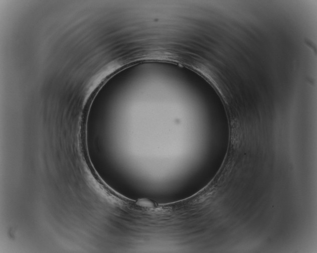 X0000101121139200807031757