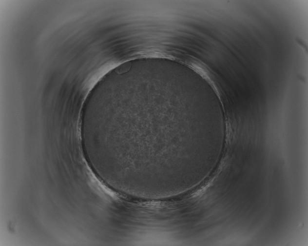 X0000101121141200807031757