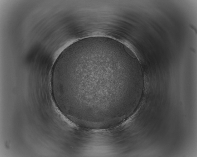 X0000101121142200807031757