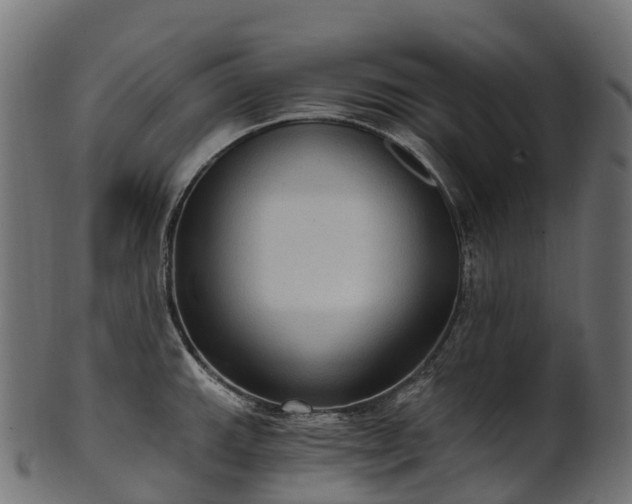 X0000101121143200807031757
