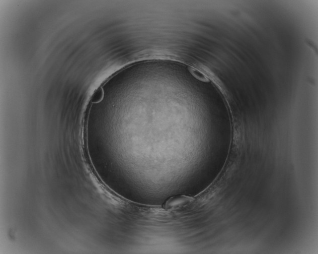 X0000101121144200807031758