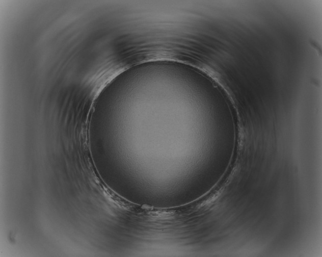X0000101121145200807031758