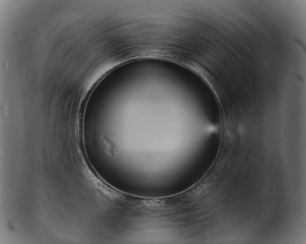 X0000101121147200807031758