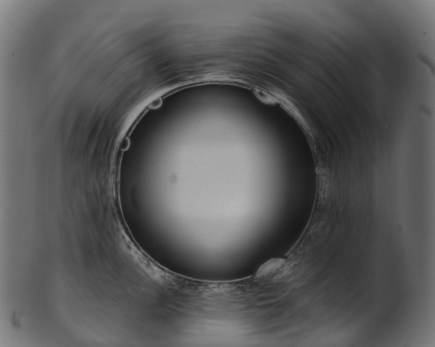 X0000101121148200807031758