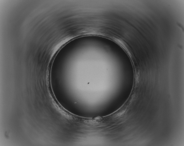 X0000101121149200807031758