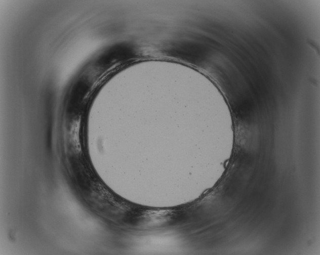 X0000101121150200807031758