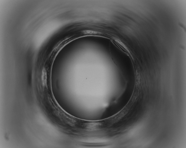 X0000101121151200807031758
