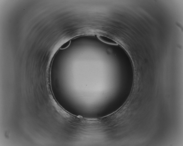 X0000101121152200807031758