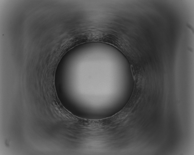 X0000101121153200807031757