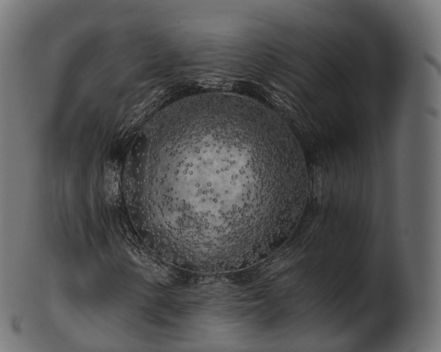 X0000101121154200807031757