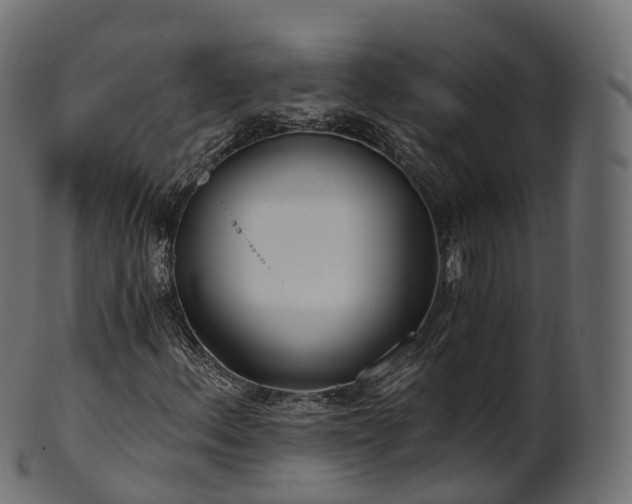 X0000101121156200807031757