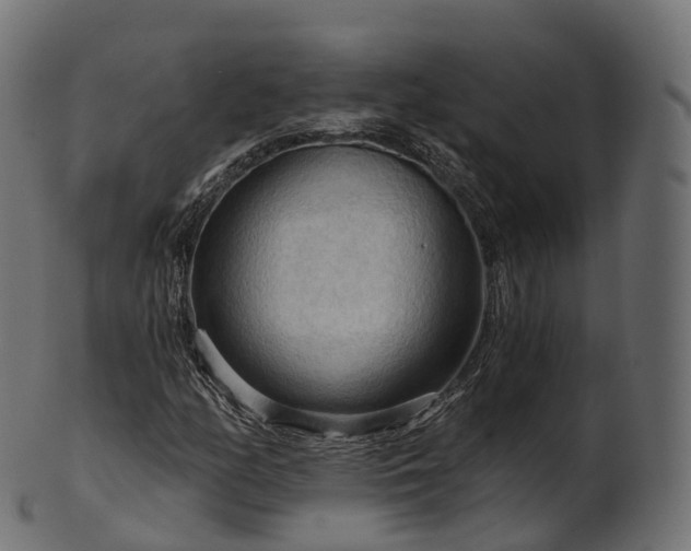 X0000101121158200807031757