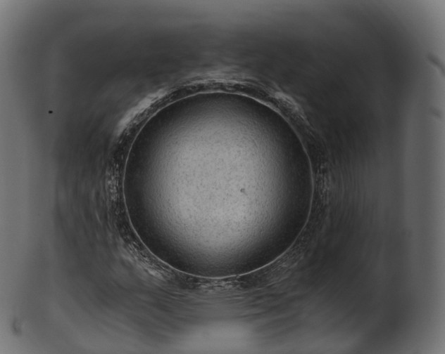 X0000101121159200807031757