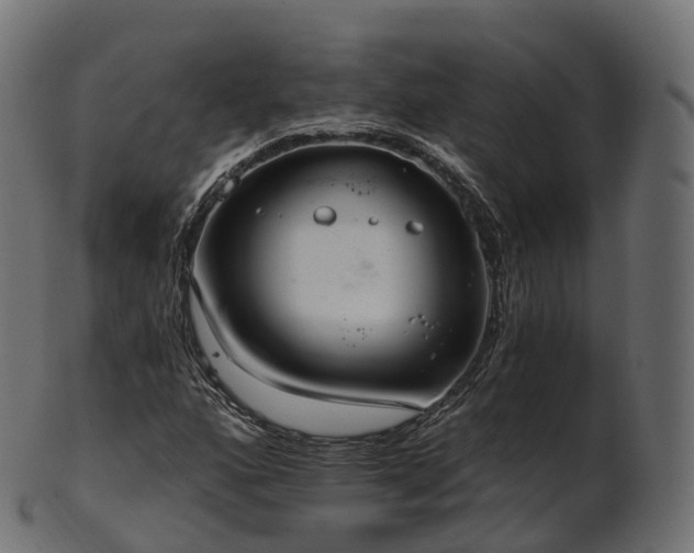 X0000101121160200807031757