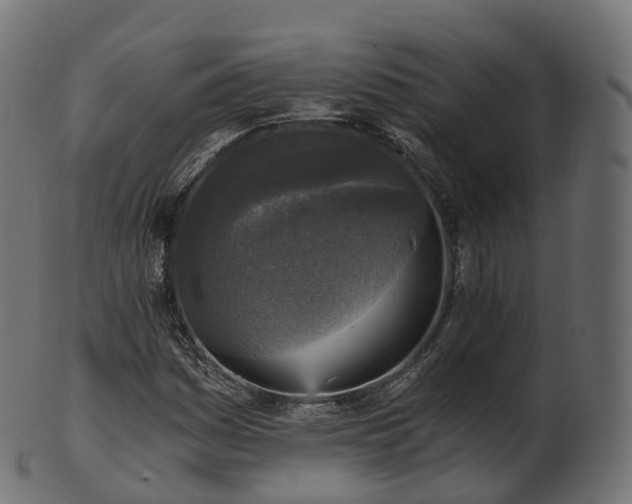 X0000101121161200807031757