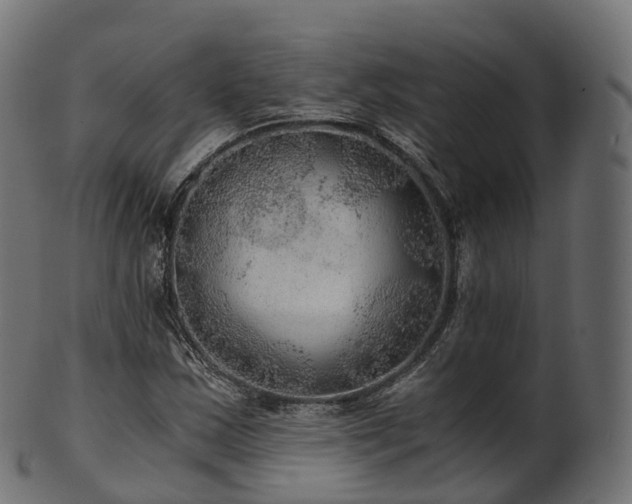 X0000101121163200807031757