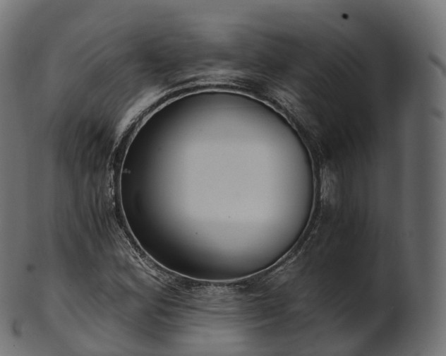 X0000101121164200807031757