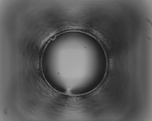 X0000101121165200807031757