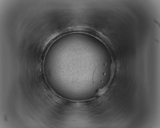 X0000101121166200807031757