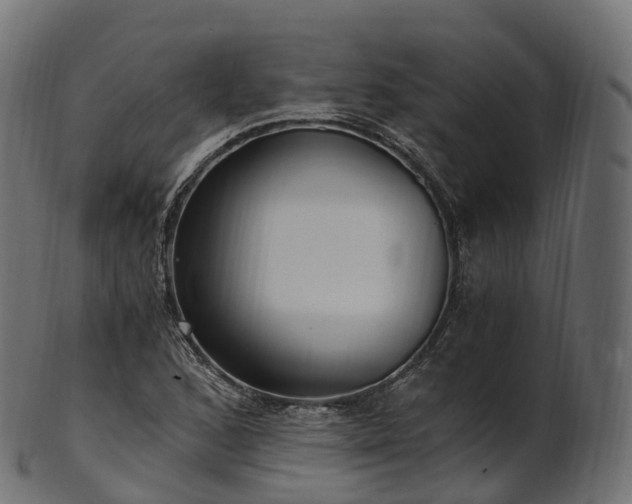 X0000101121168200807031757
