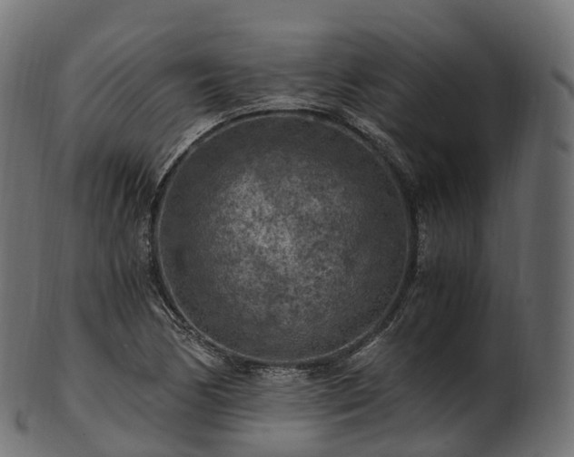 X0000101121170200807031757