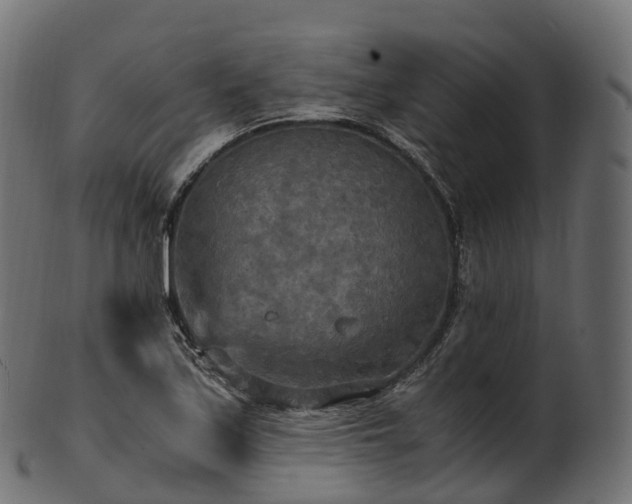 X0000101121171200807031757