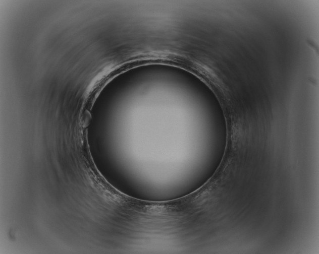 X0000101121172200807031757