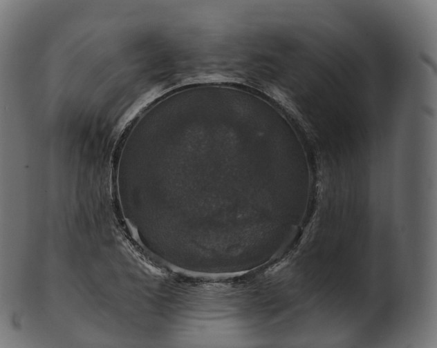 X0000101121173200807031756