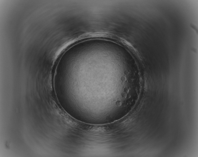 X0000101121174200807031756