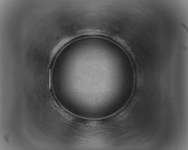 X0000101121175200807031756