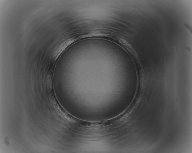 X0000101121177200807031756