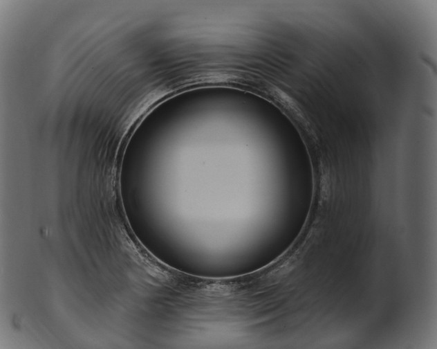 X0000101121178200807031756