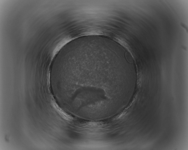 X0000101121179200807031756