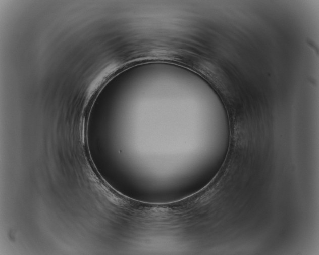 X0000101121180200807031756