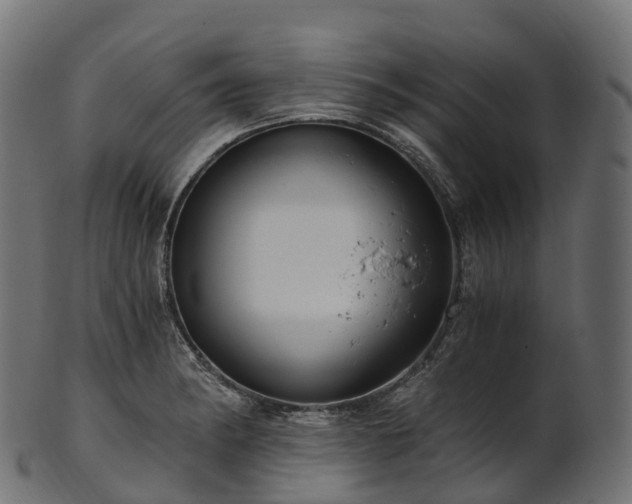 X0000101121182200807031756
