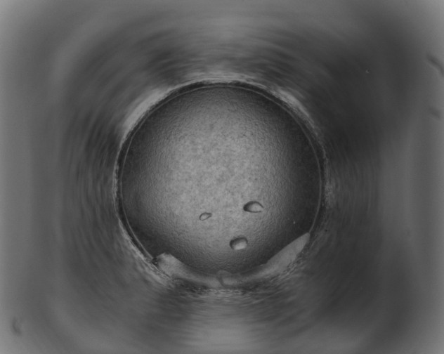 X0000101121183200807031756