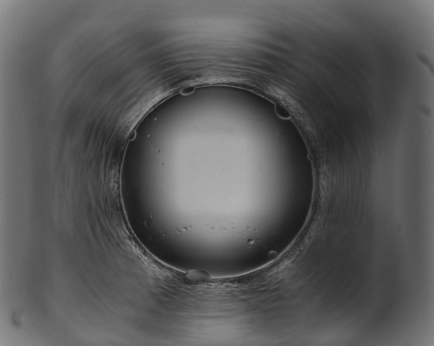 X0000101121185200807031756
