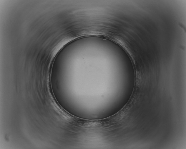X0000101121187200807031756
