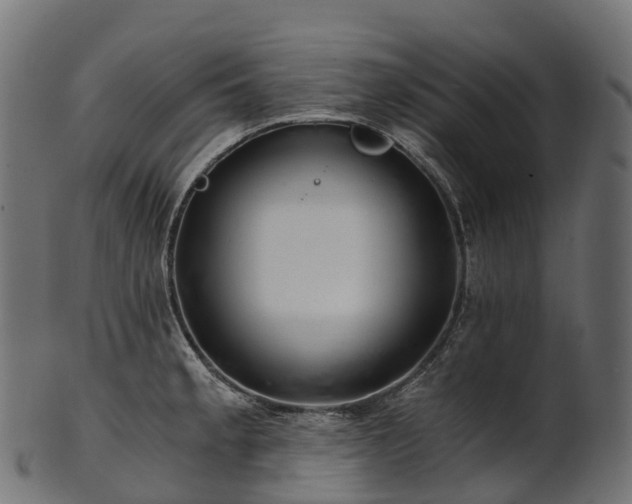 X0000101121189200807031756