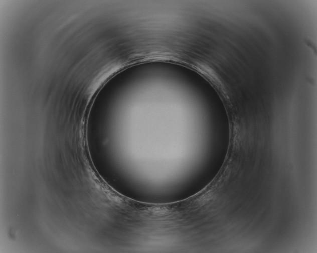 X0000101121190200807031756