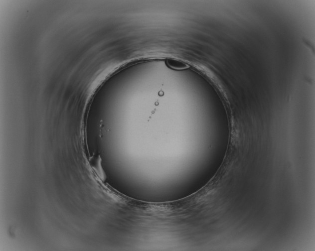 X0000101121191200807031756