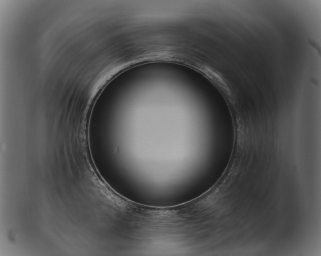 X0000101121192200807031756