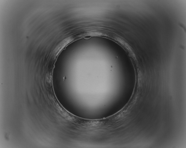 X0000101121193200807031756