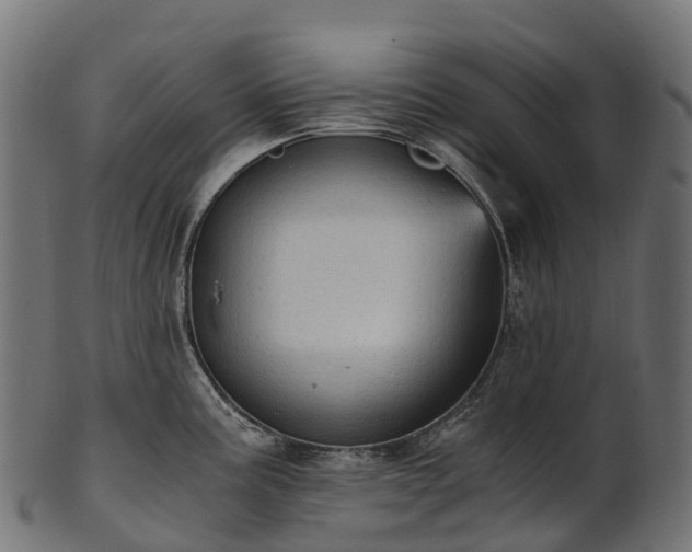 X0000101121195200807031756