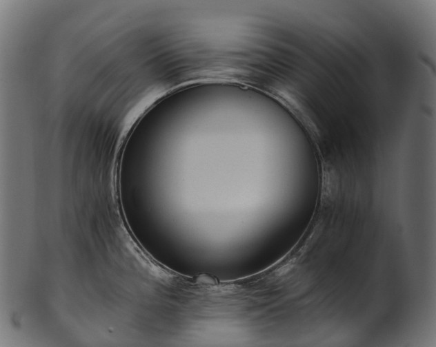 X0000101121196200807031756