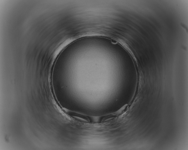 X0000101121197200807031756