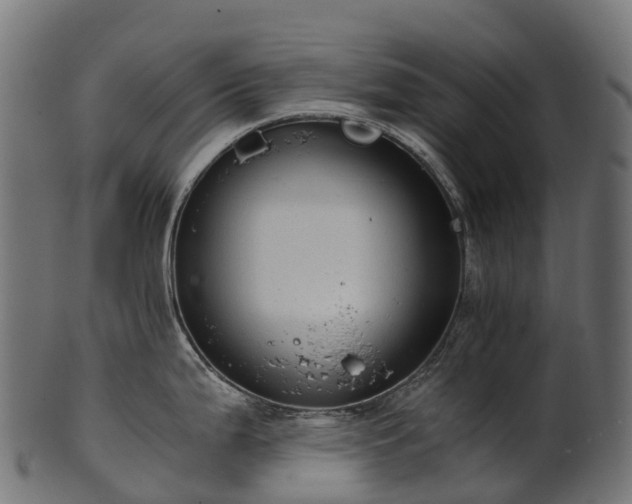 X0000101121199200807031756