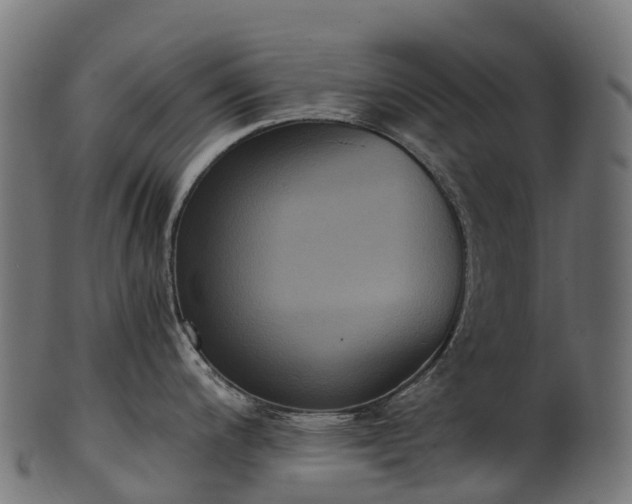 X0000101121200200807031756