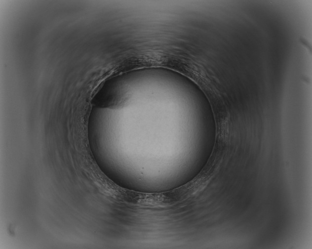 X0000101121201200807031755
