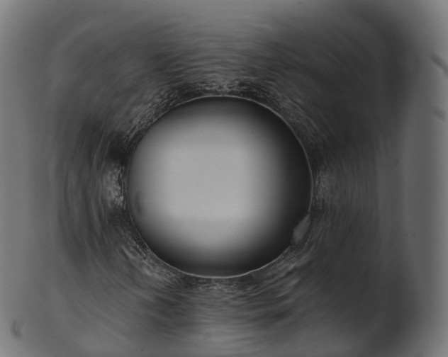 X0000101121202200807031755